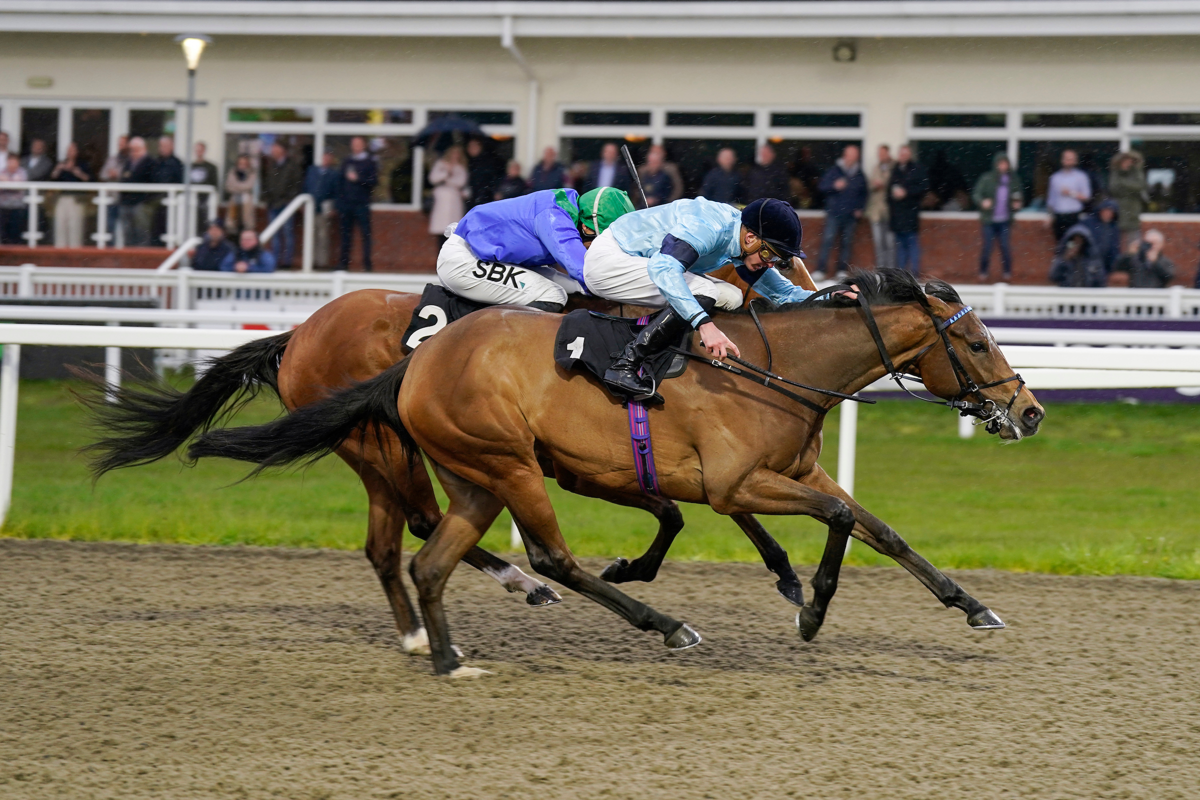 Horse Racing | Chelmsford City Racecourse