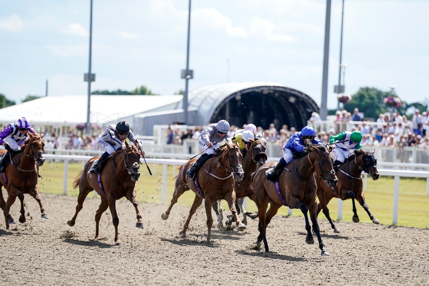 Horse Racing | Chelmsford City Racecourse