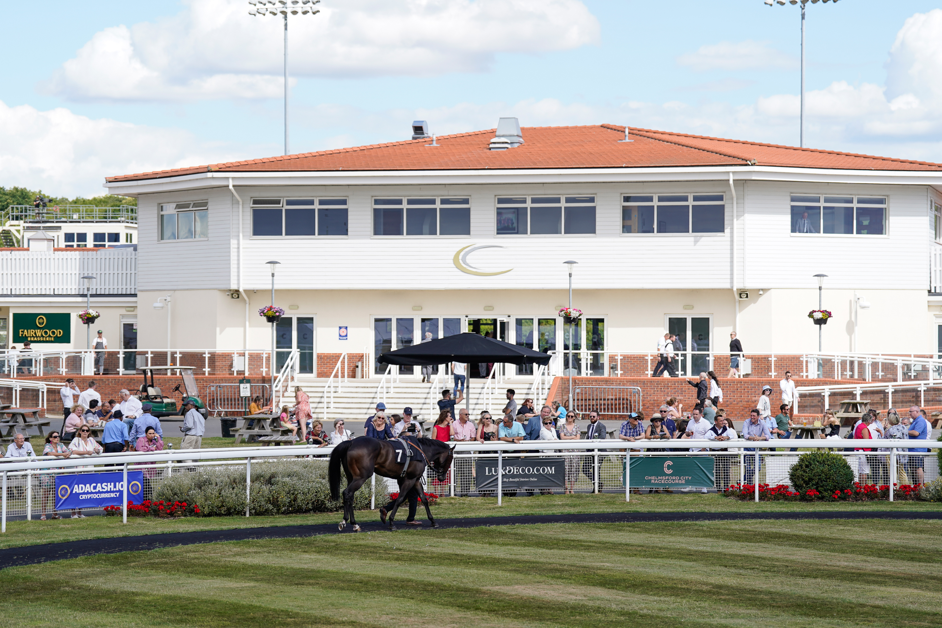Race Day | Chelmsford City Racecourse