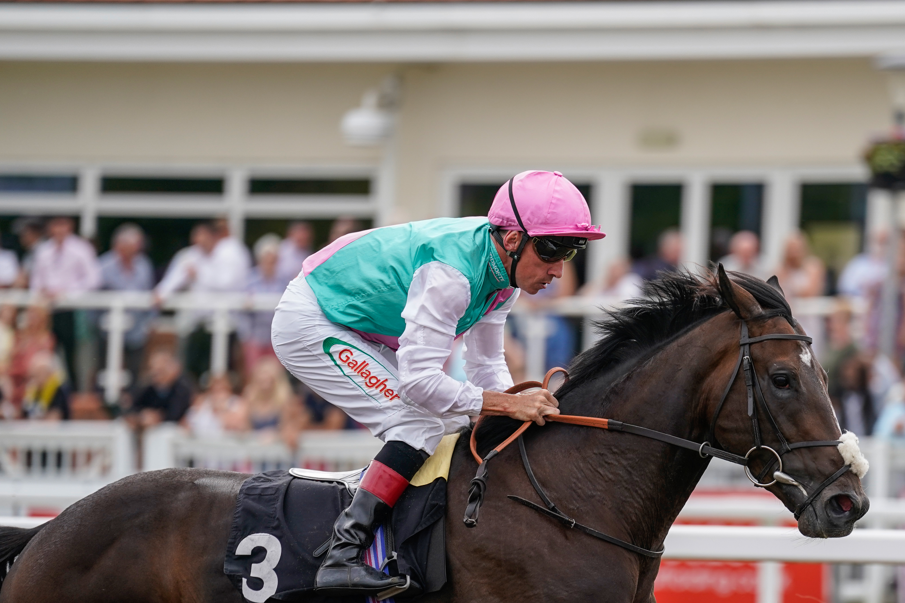 Horse Racing | Chelmsford City Racecourse