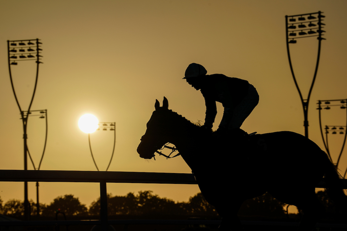 Race Days | Chelmsford City Racecourse