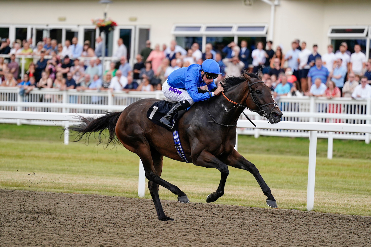 Horse Racing | Chelmsford City Racecourse