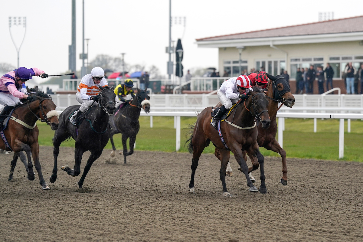 Horse Racing | Chelmsford City Racecourse