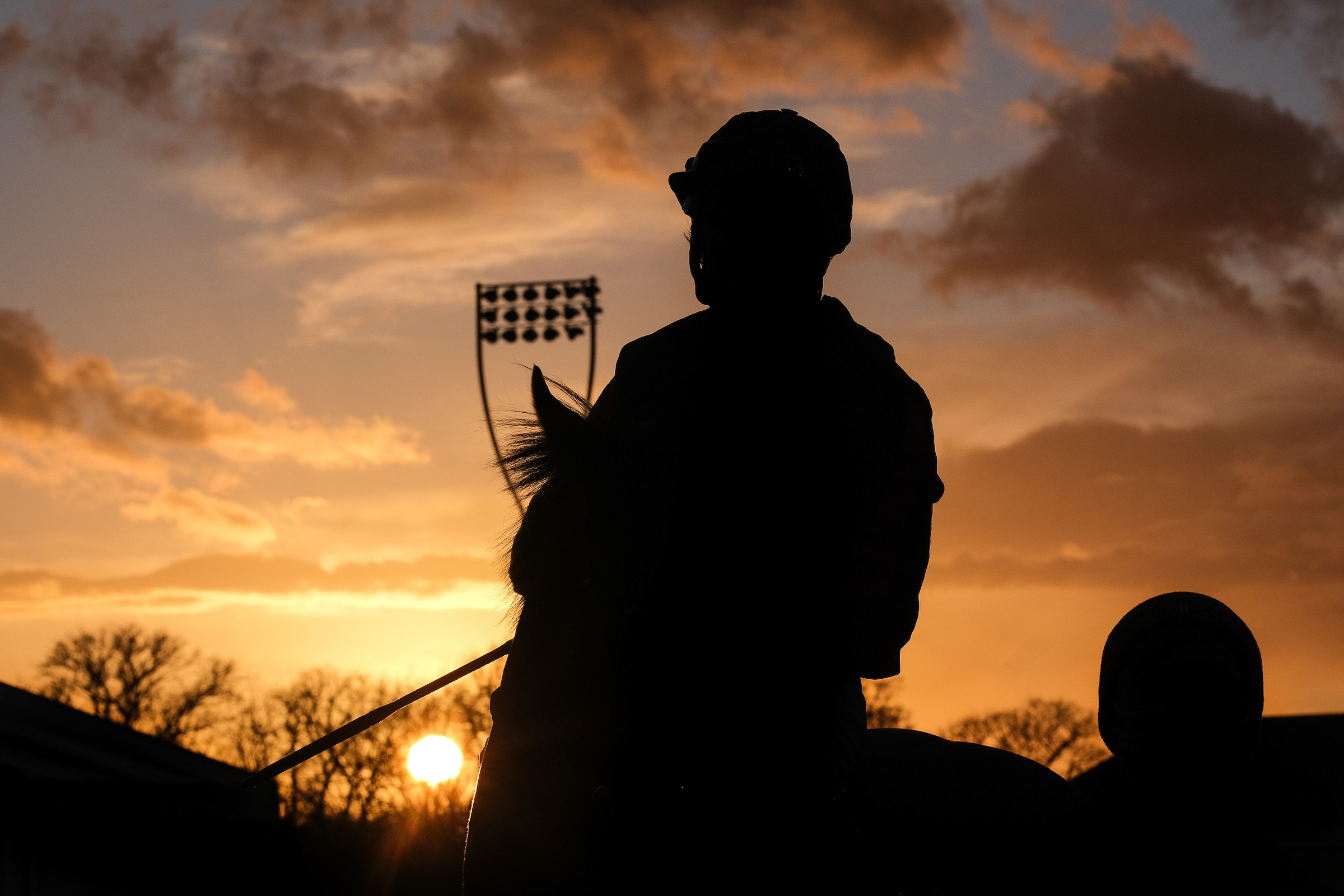 Horse Racing | Chelmsford City Racecourse