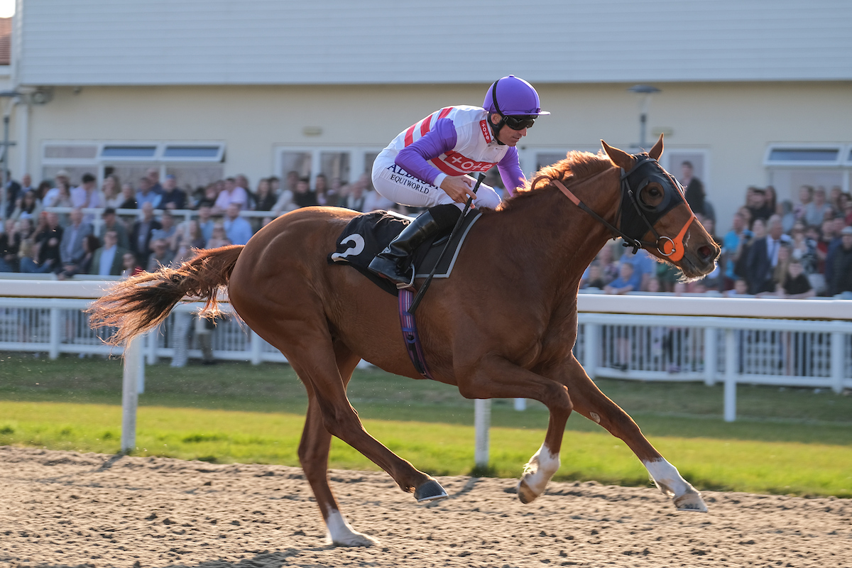 Horse Racing | Chelmsford City Racecourse