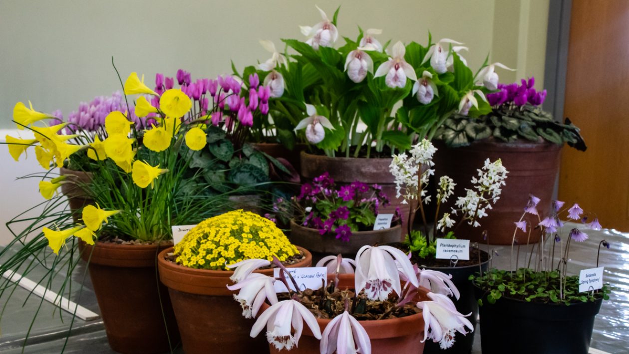 Flowers | Chelmsford City Racecourse