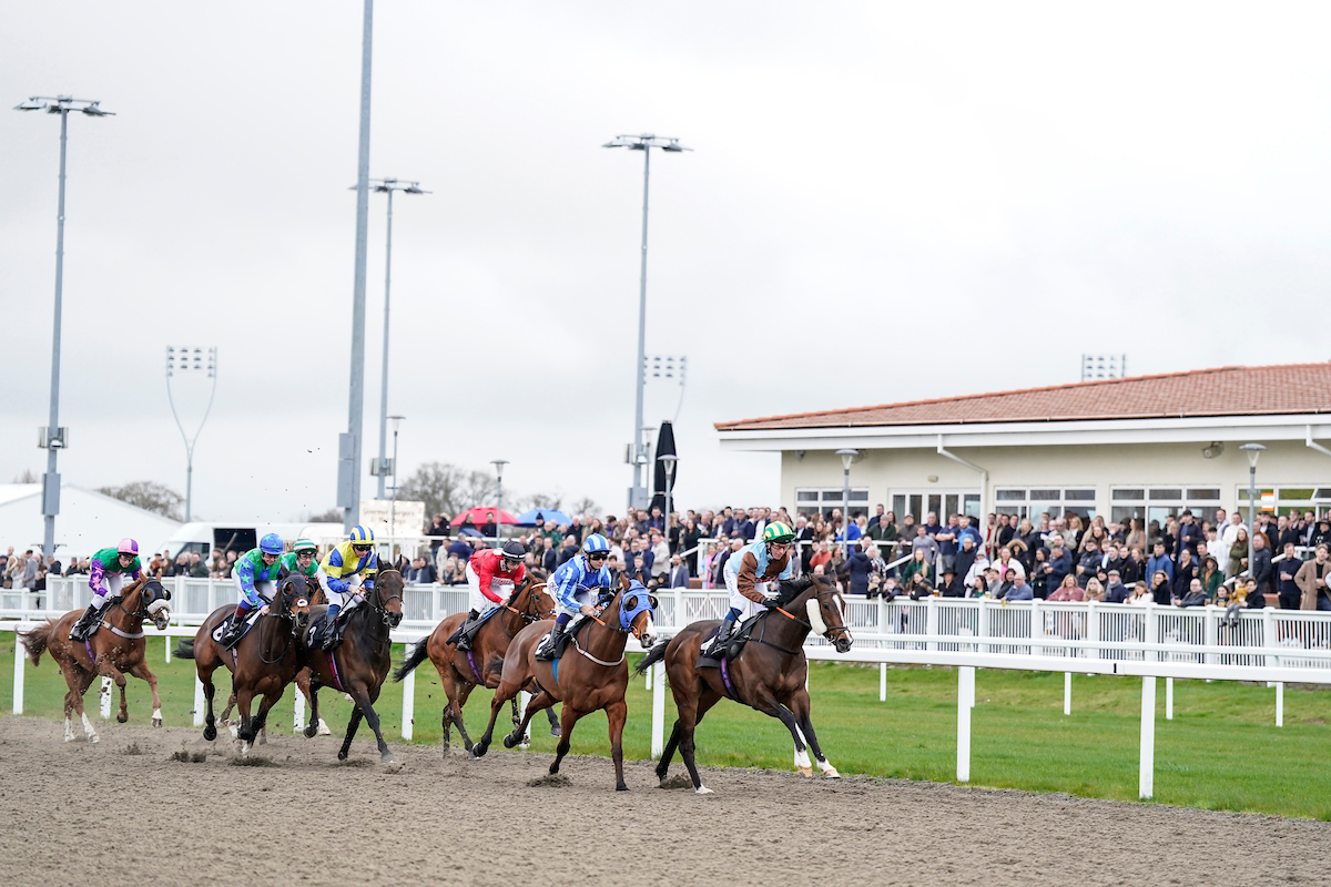 Horse Racing | Chelmsford City Racecourse