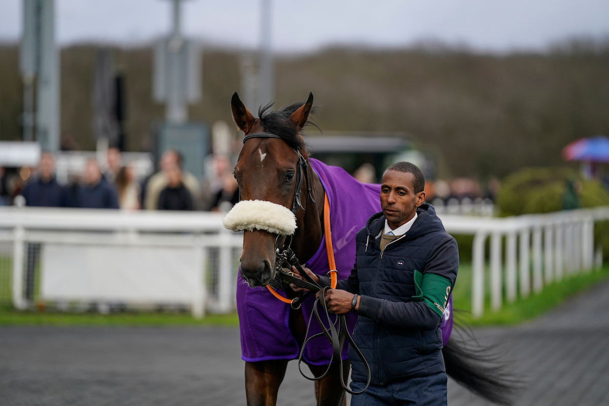 Horse Racing | Chelmsford City Racecourse