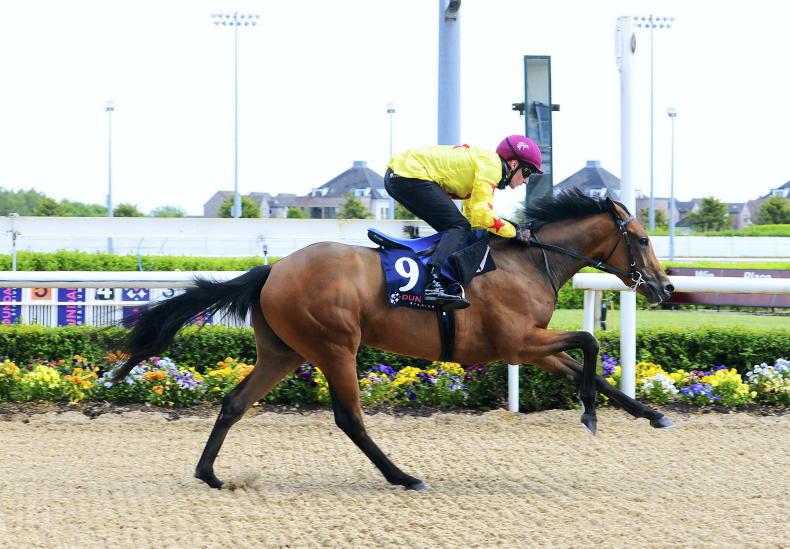 Horse Racing | Chelmsford City Racecourse