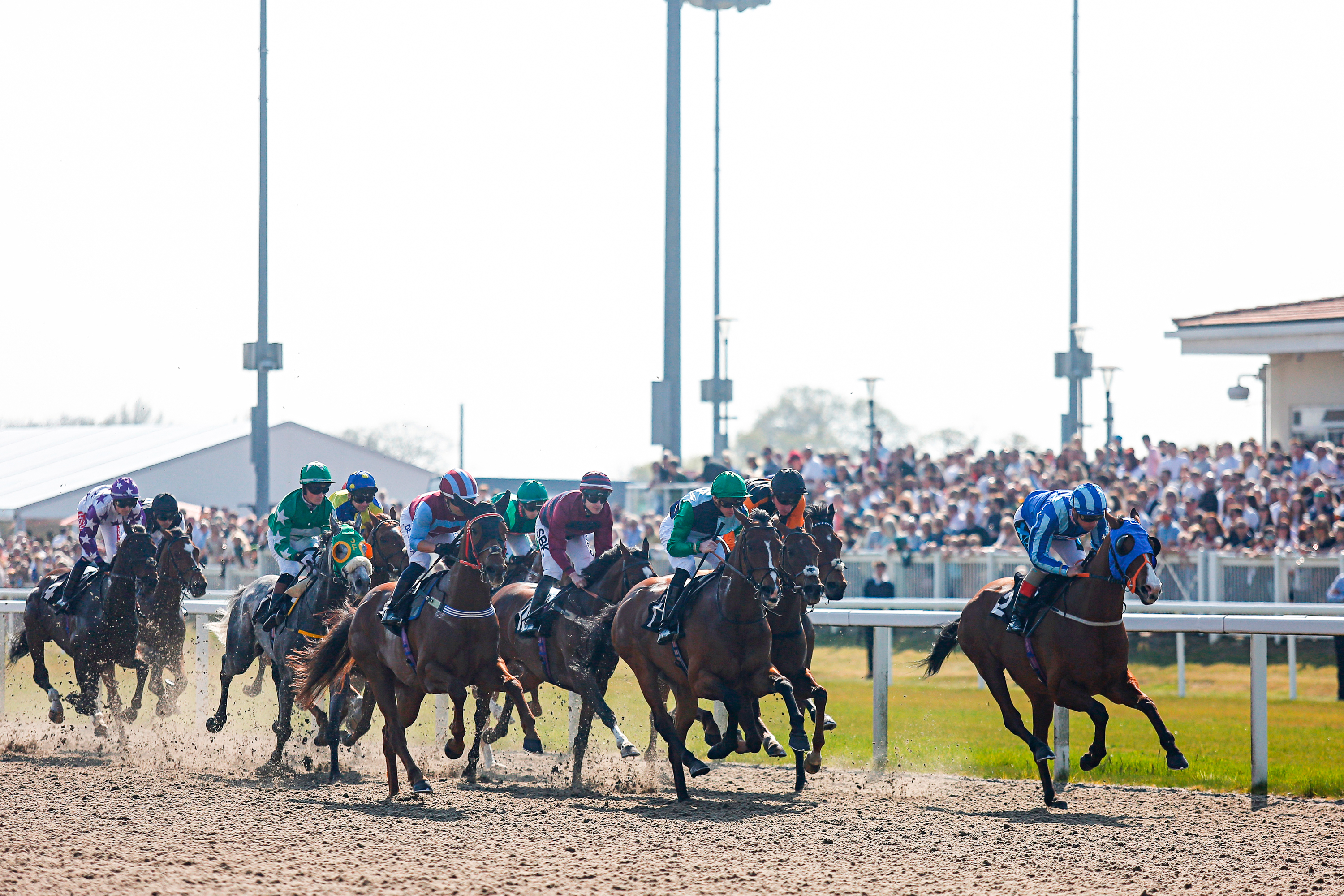 Horse Racing | Chelmsford City Racecourse