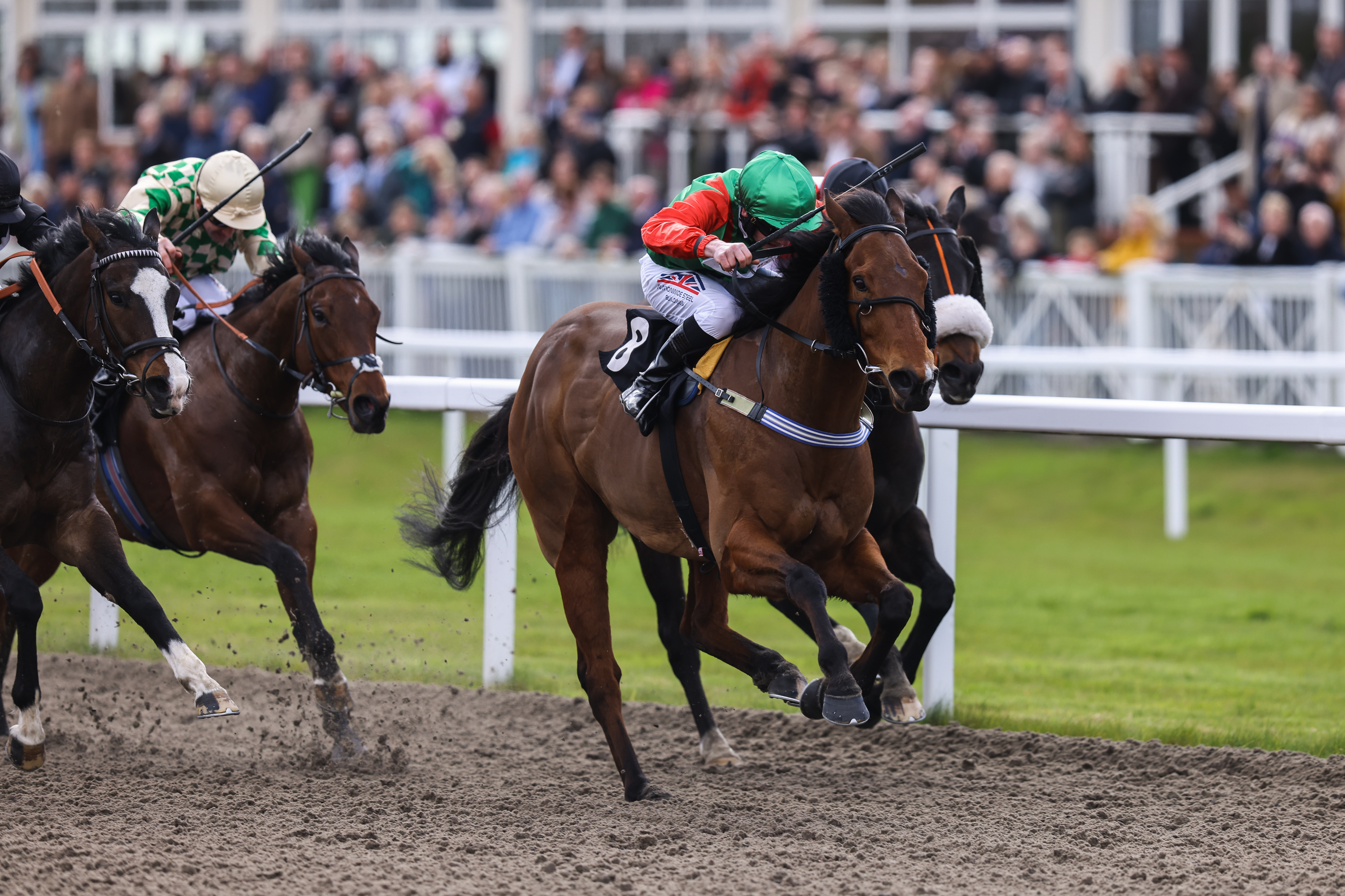 Horse Racing | Chelmsford City Racecourse