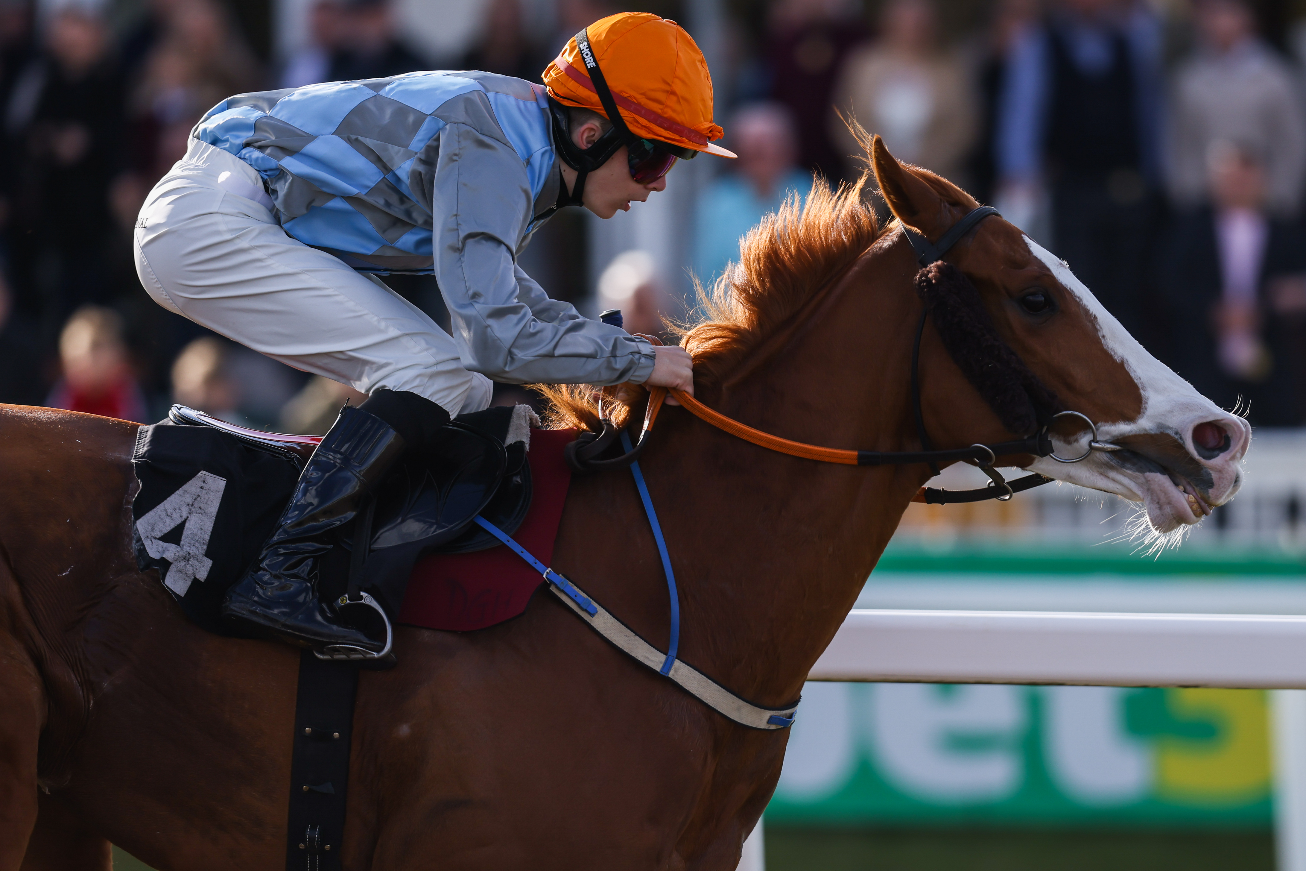 Horse Riding | Chelmsford City Racecourse