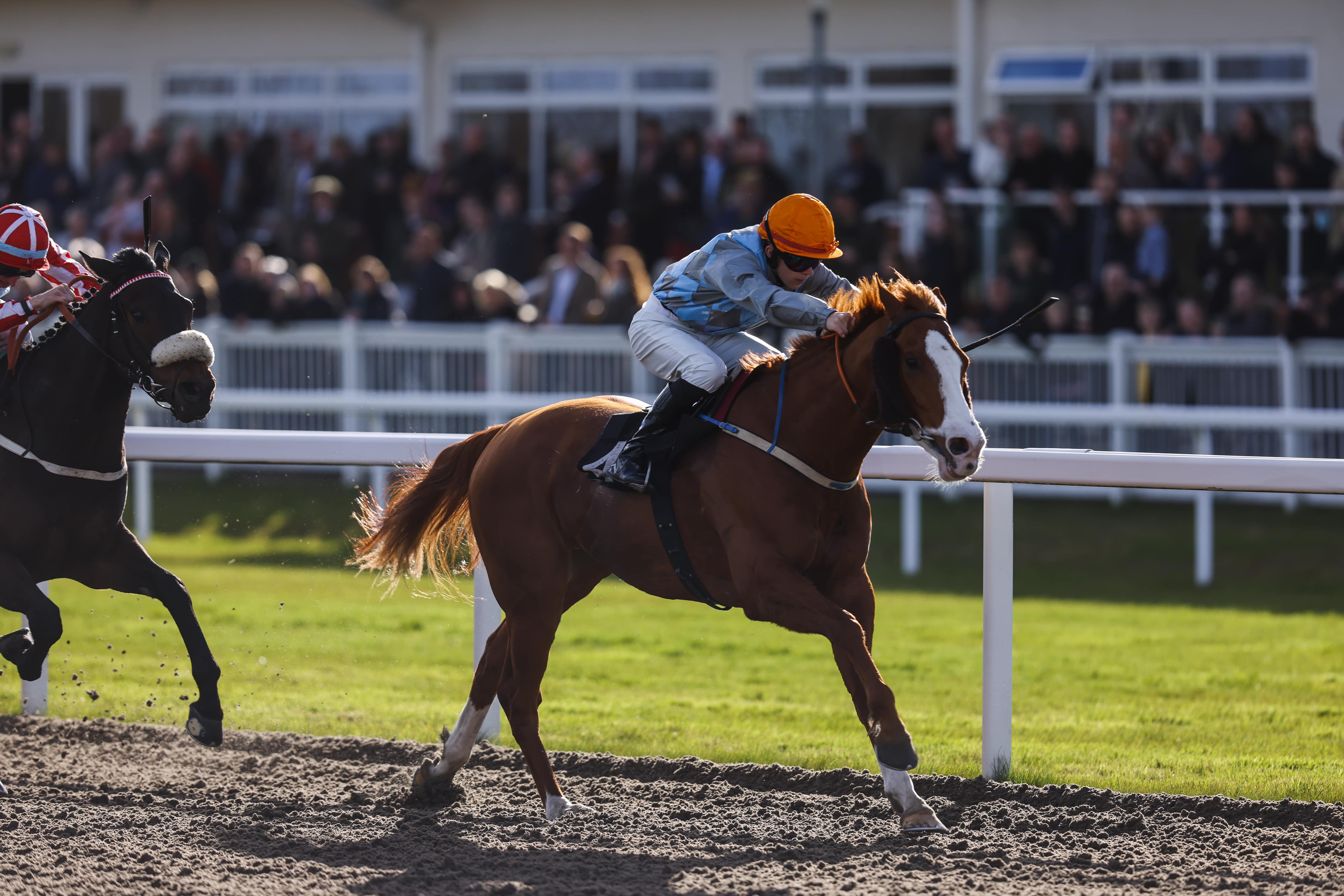 Horse Racing | Chelmsford City Racecourse