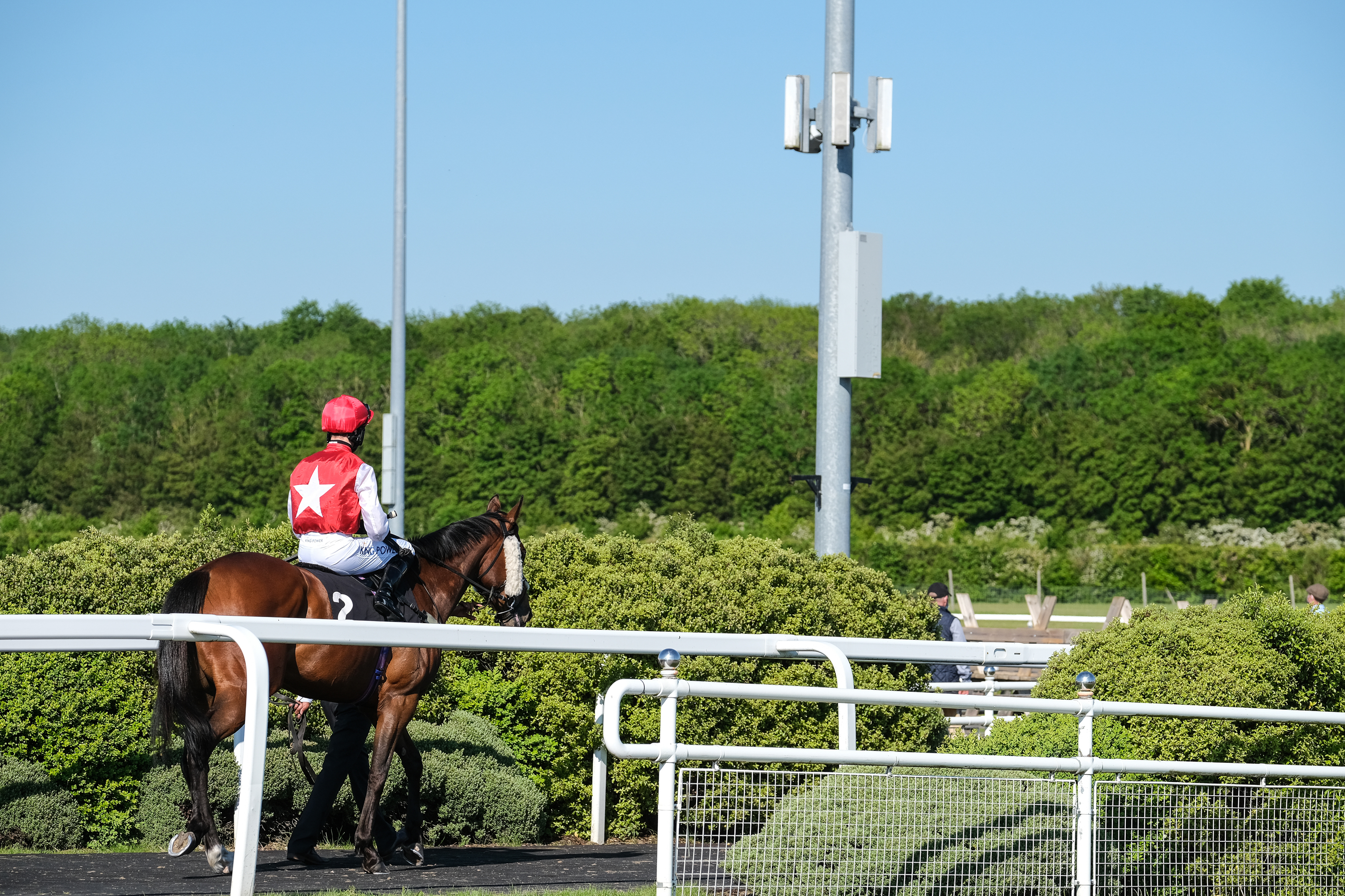 Horse Racing | Chelmsford City Racecourse