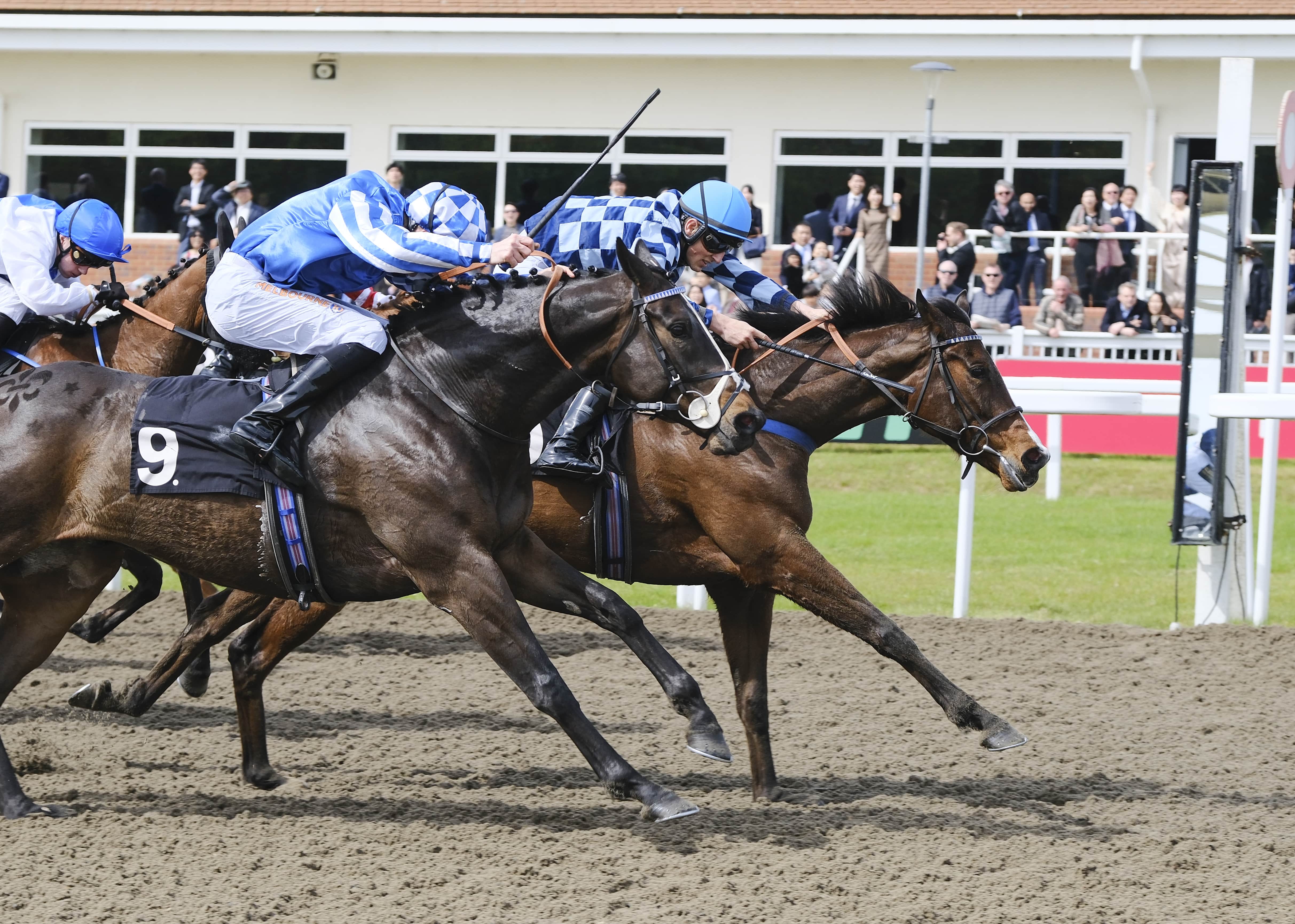 General Admissions | Chelmsford City Racecourse