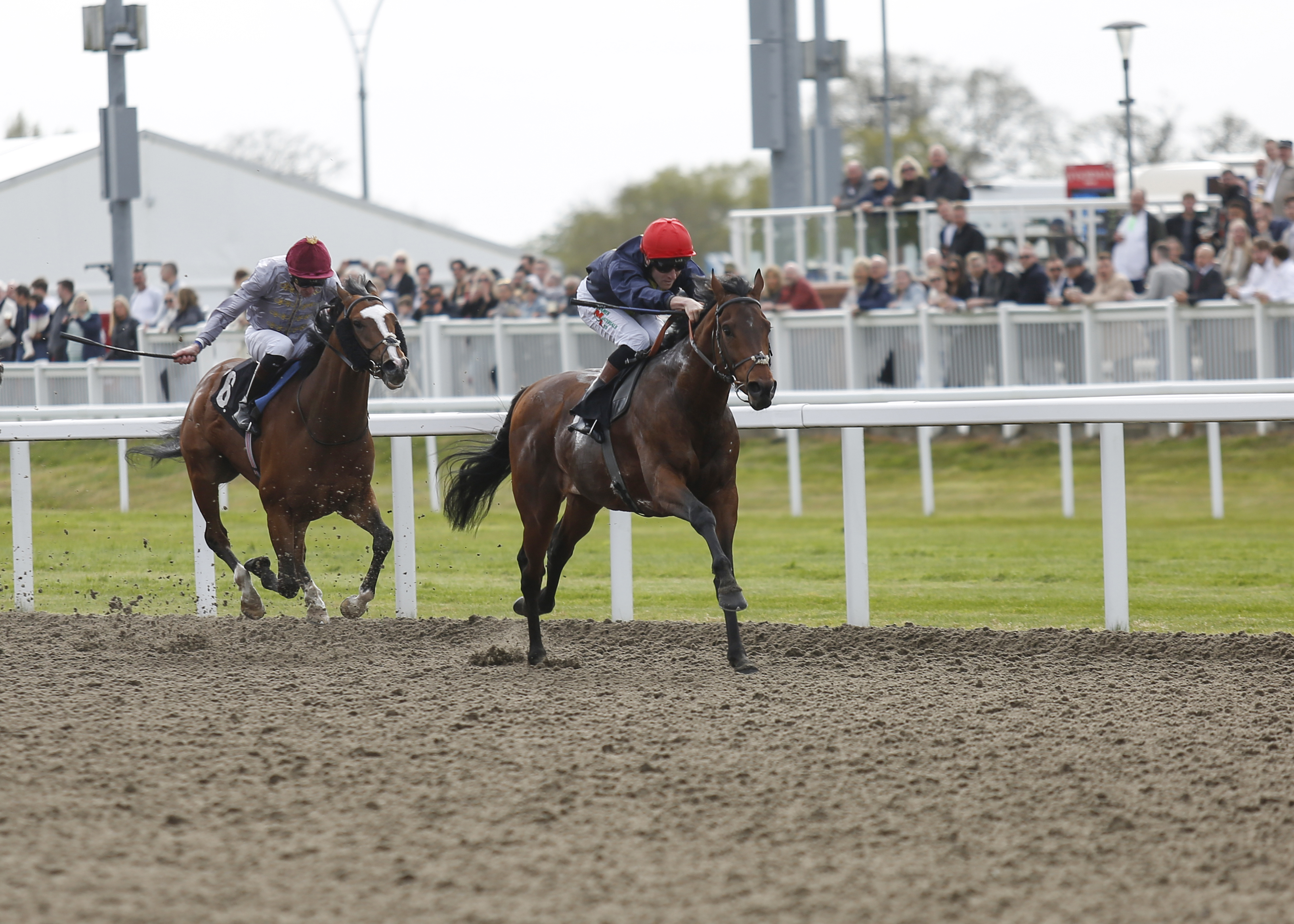 Horse Racing | Chelmsford City Racecourse