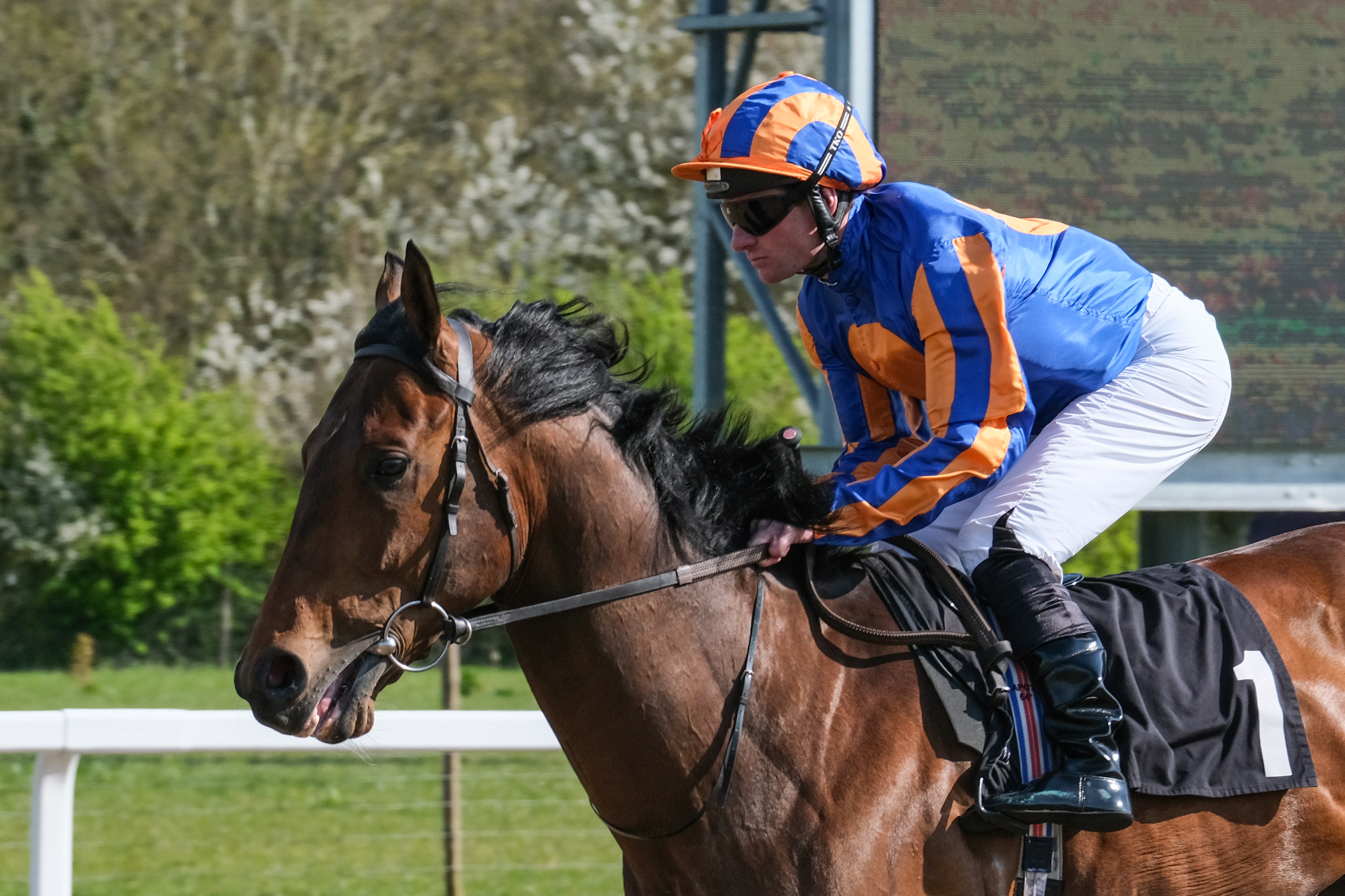 Horse Racing | Chelmsford City Racecourse