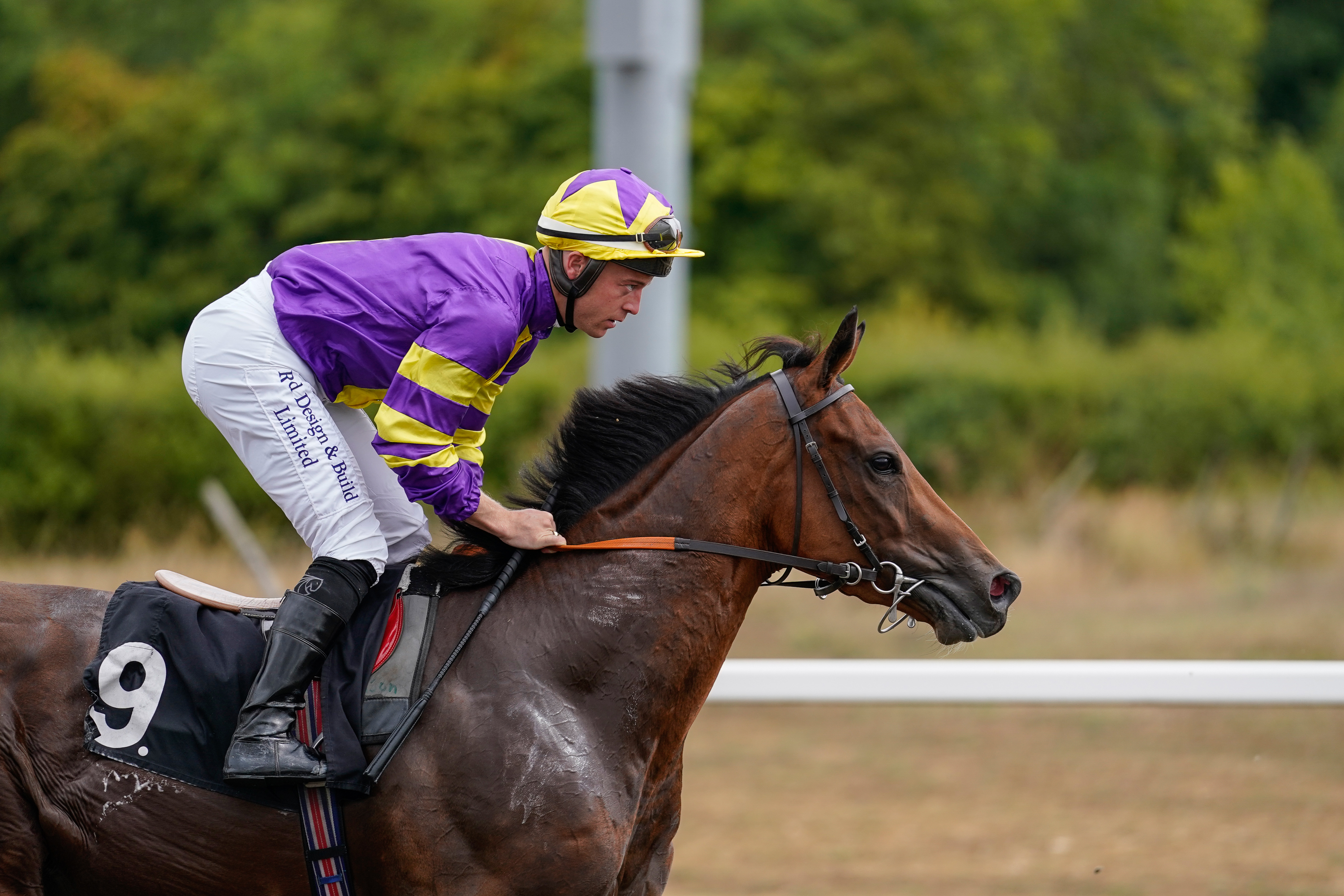 Horse Racing | Chelmsford City Racecourse
