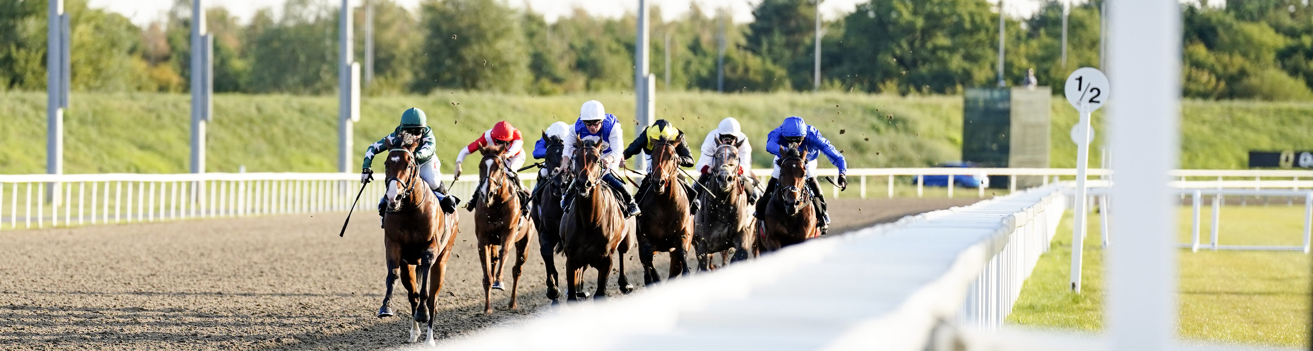 Horse Racing | Chelmsford City Racecourse