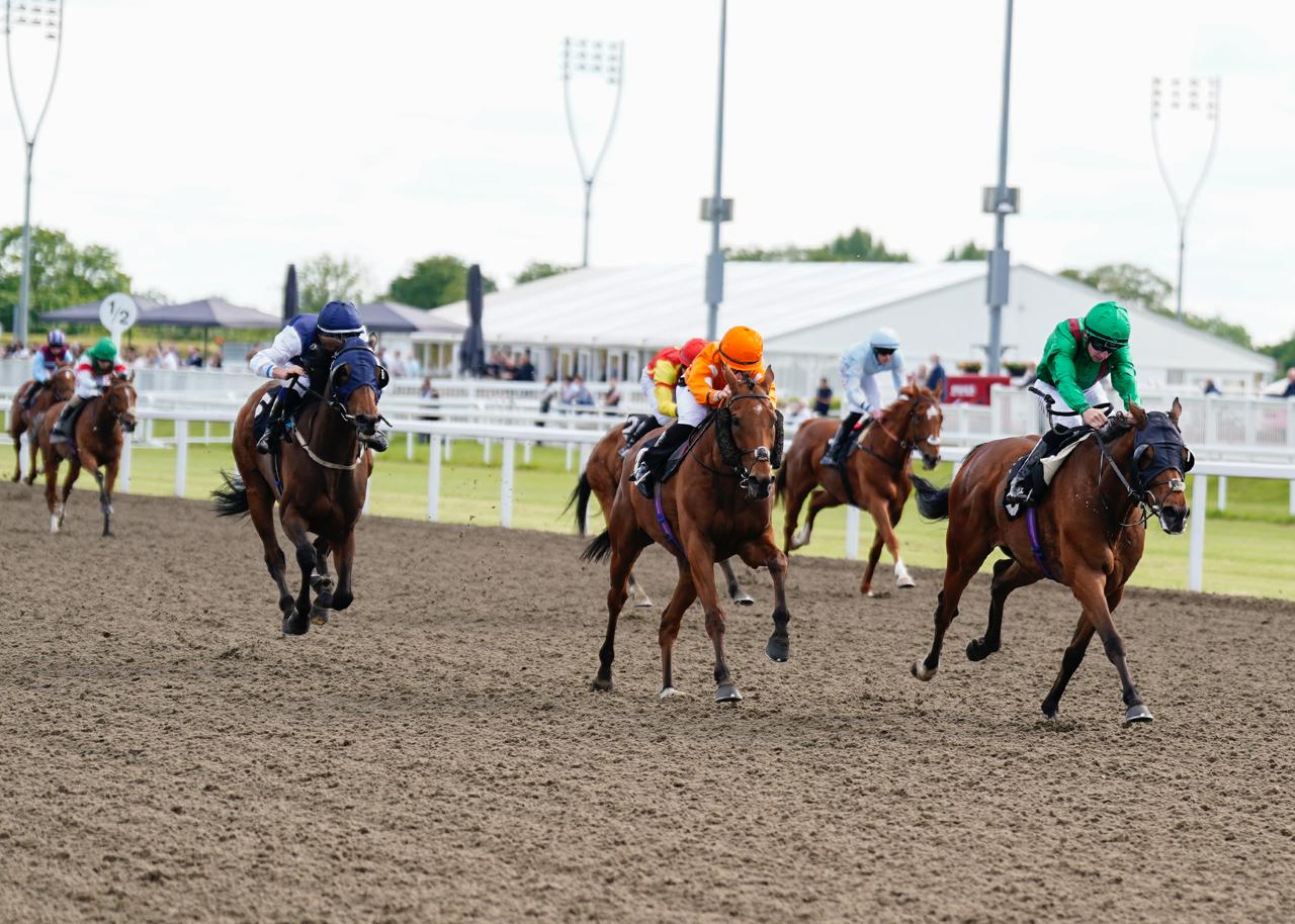 Race Days | Chelmsford City Racecourse