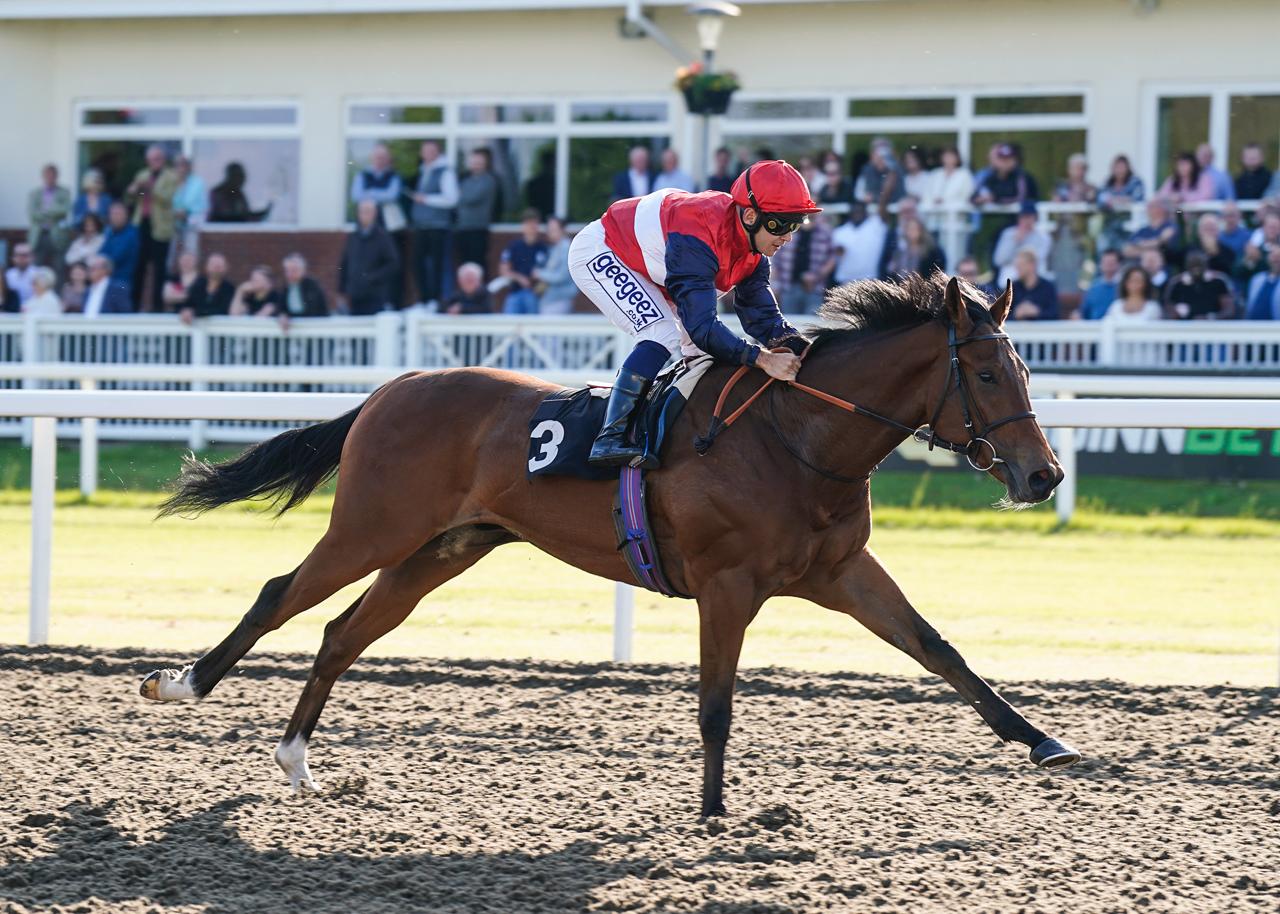 Race Days | Chelmsford City Racecourse