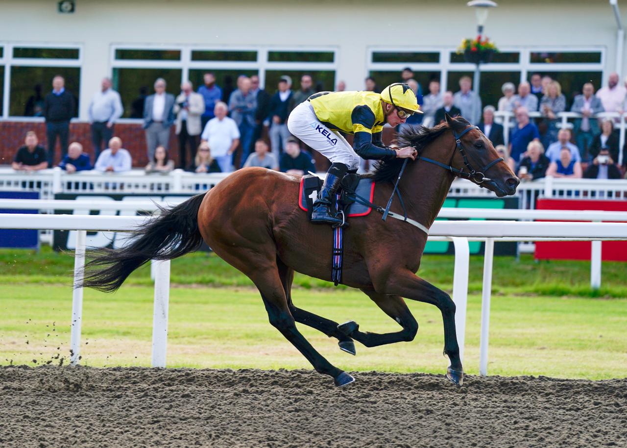 Race Days | Chelmsford City Racecourse