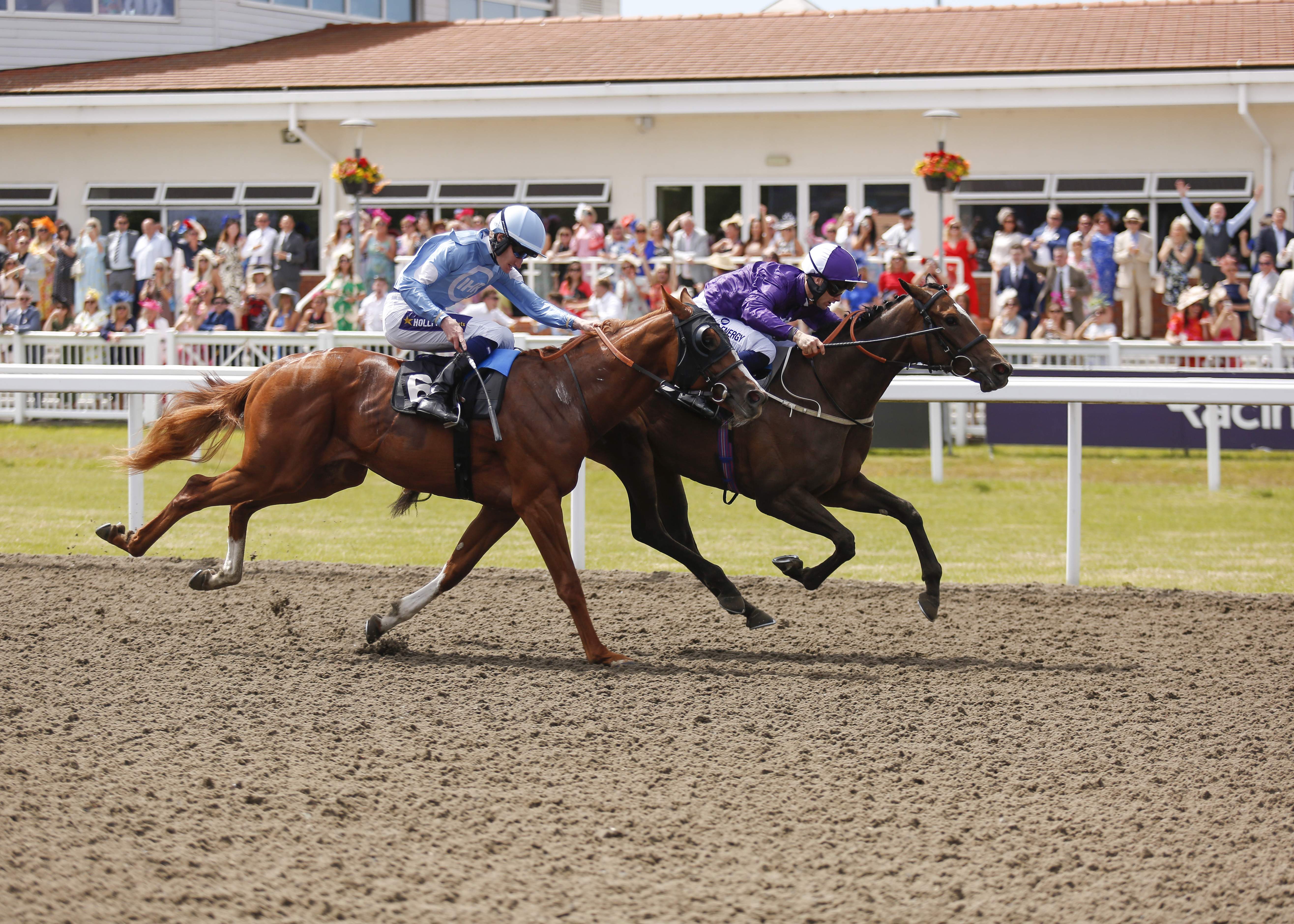 racing | Chelmsford City Racecourse