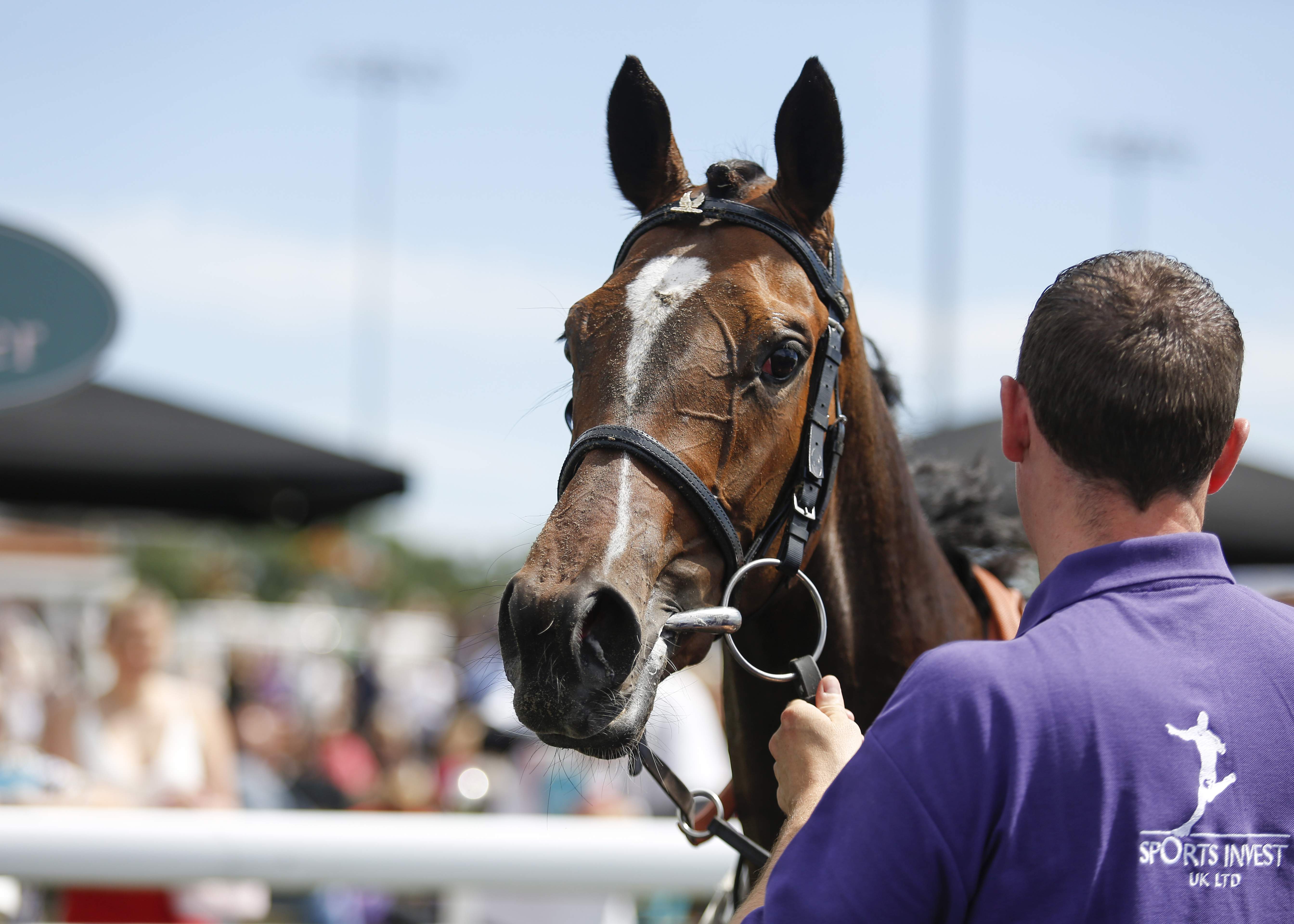 racing | Chelmsford City Racecourse