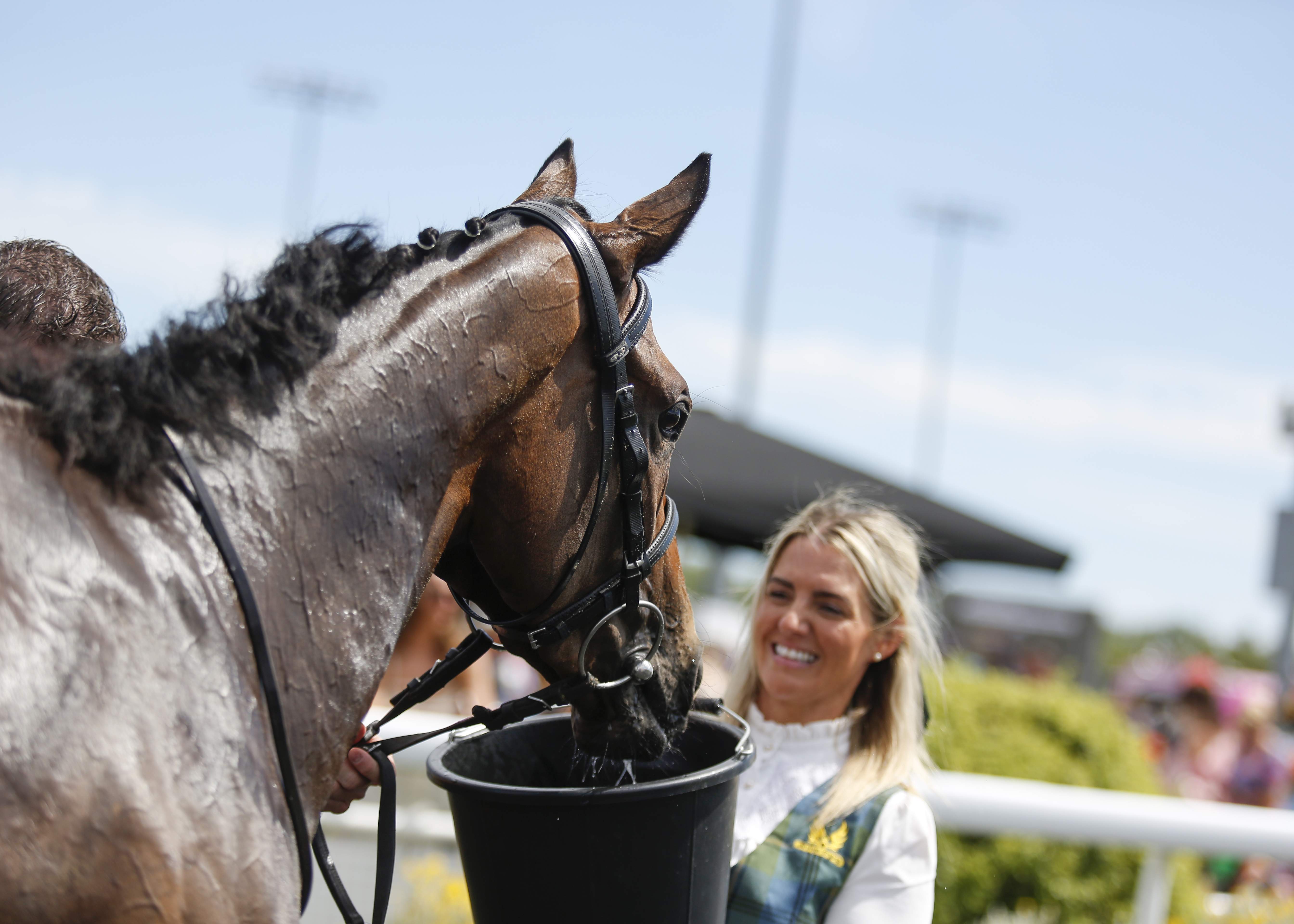 racing | Chelmsford City Racecourse