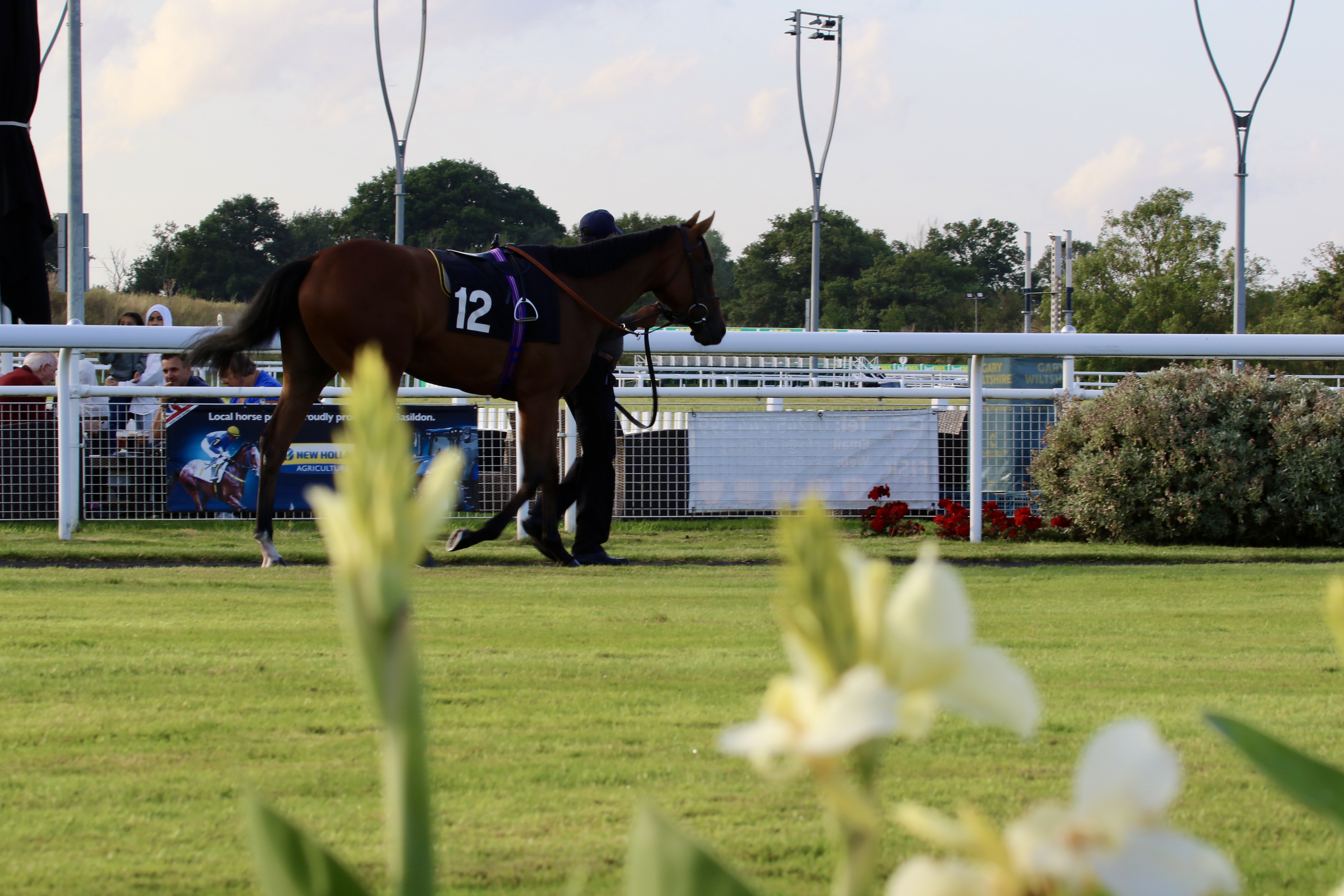2025 fixture list | Chelmsford City Racecourse