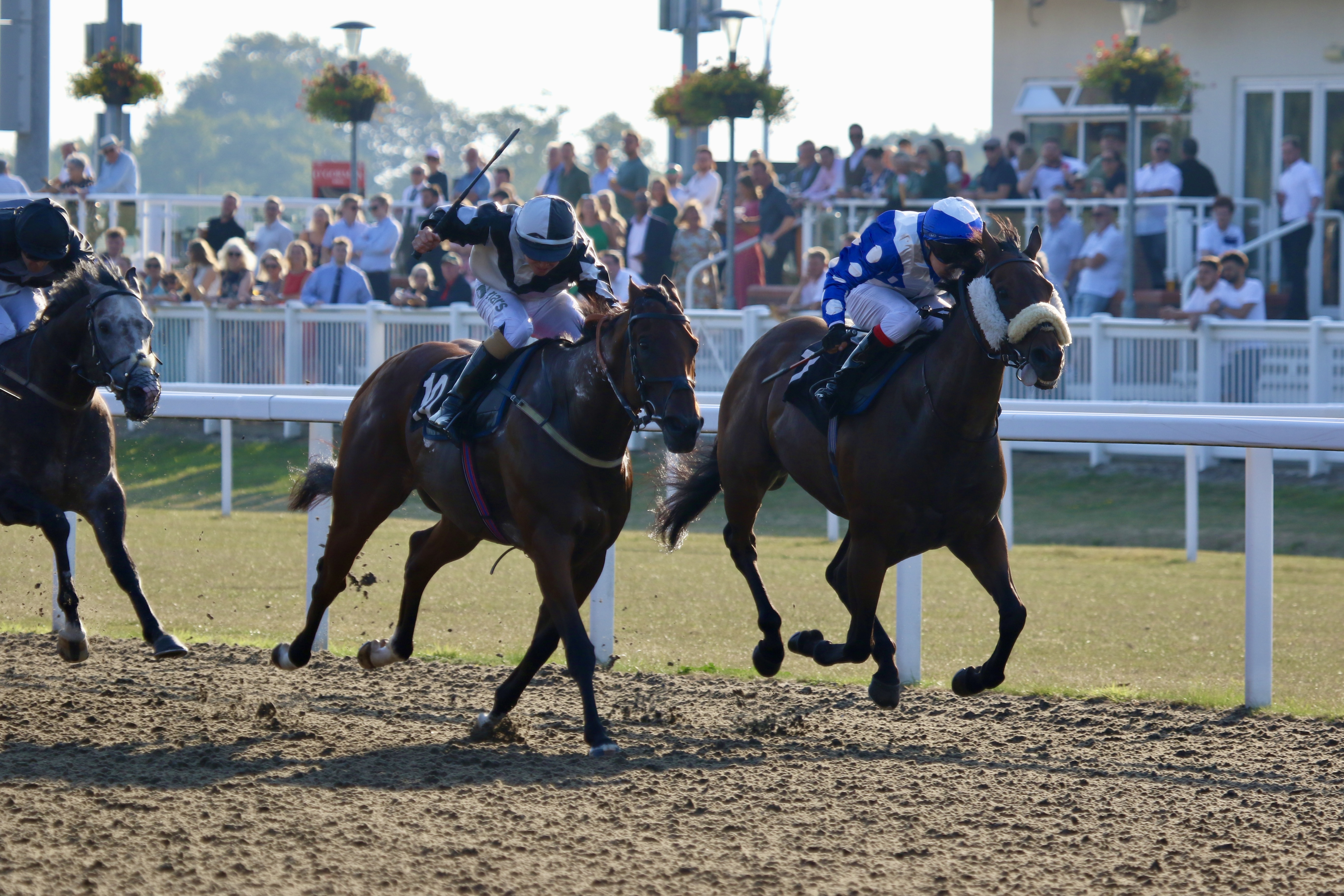 racing | Chelmsford City Racecourse