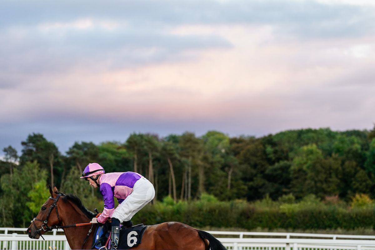 racing | Chelmsford City Racecourse