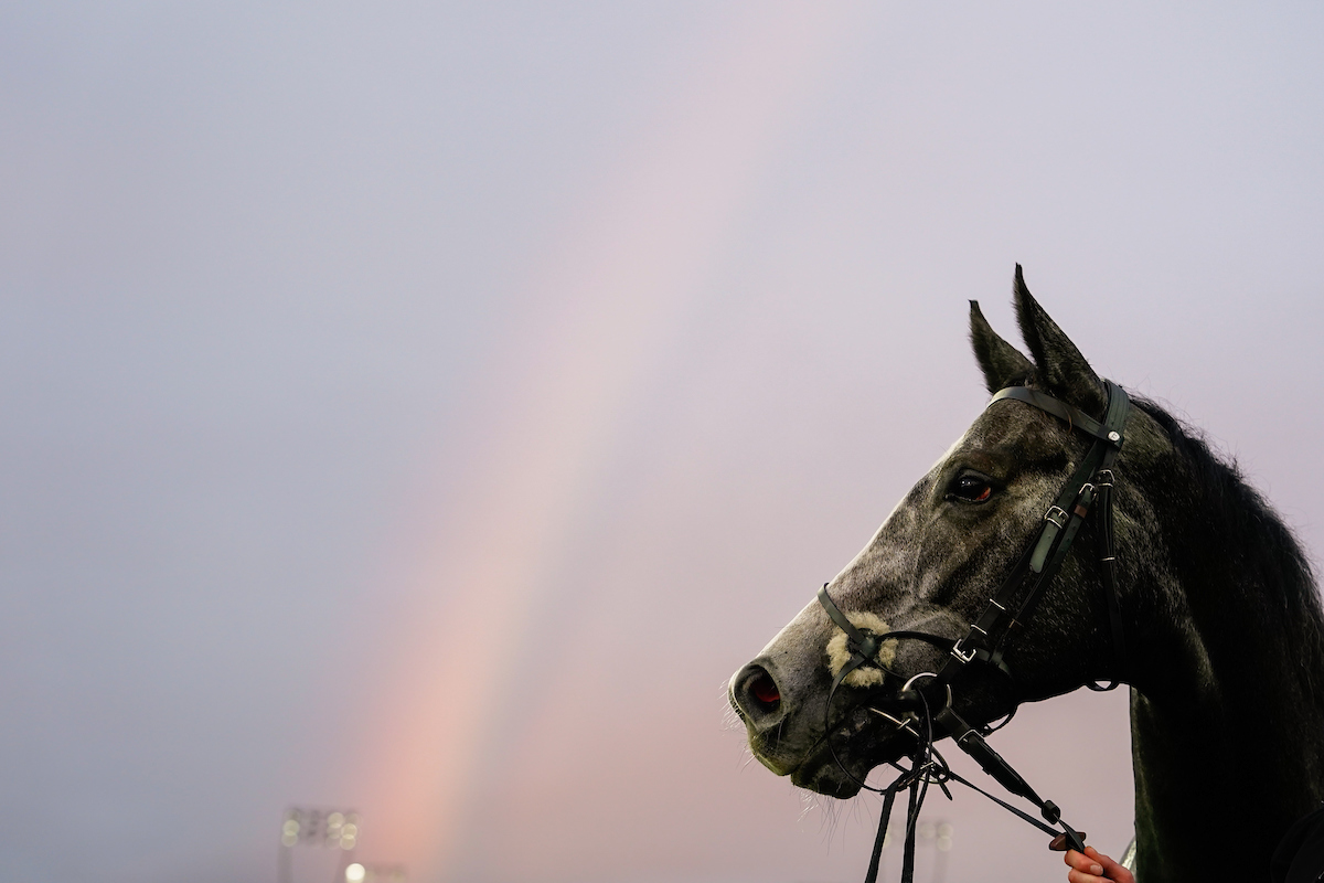 racing | Chelmsford City Racecourse