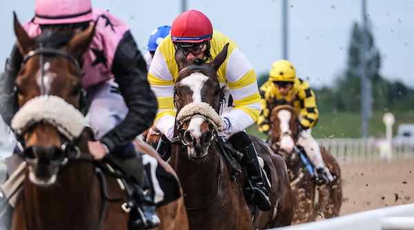 racing | Chelmsford City Racecourse