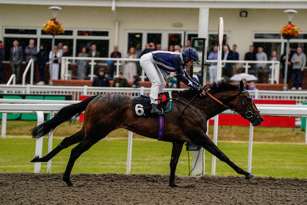 racing | Chelmsford City Racecourse