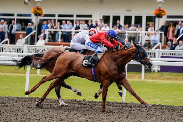 racing | Chelmsford City Racecourse