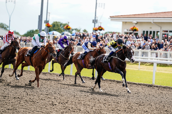 racing | Chelmsford City Racecourse