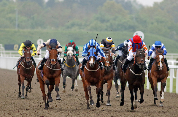racing | Chelmsford City Racecourse