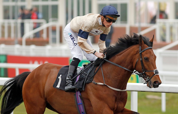 racing | Chelmsford City Racecourse