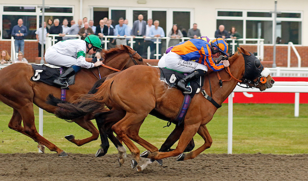 racing | Chelmsford City Racecourse