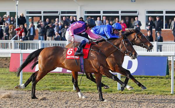 racing | Chelmsford City Racecourse