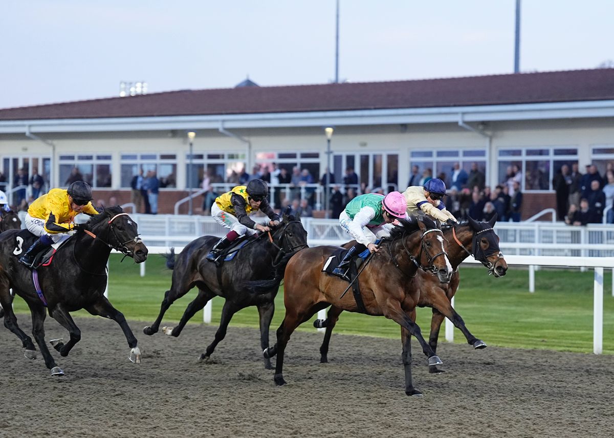 cardinal stakes