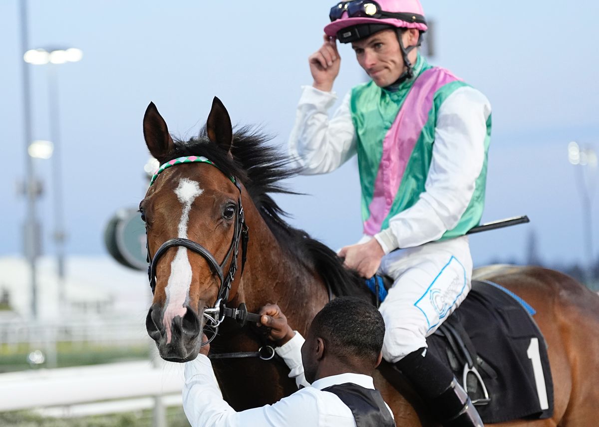 cardinal stakes