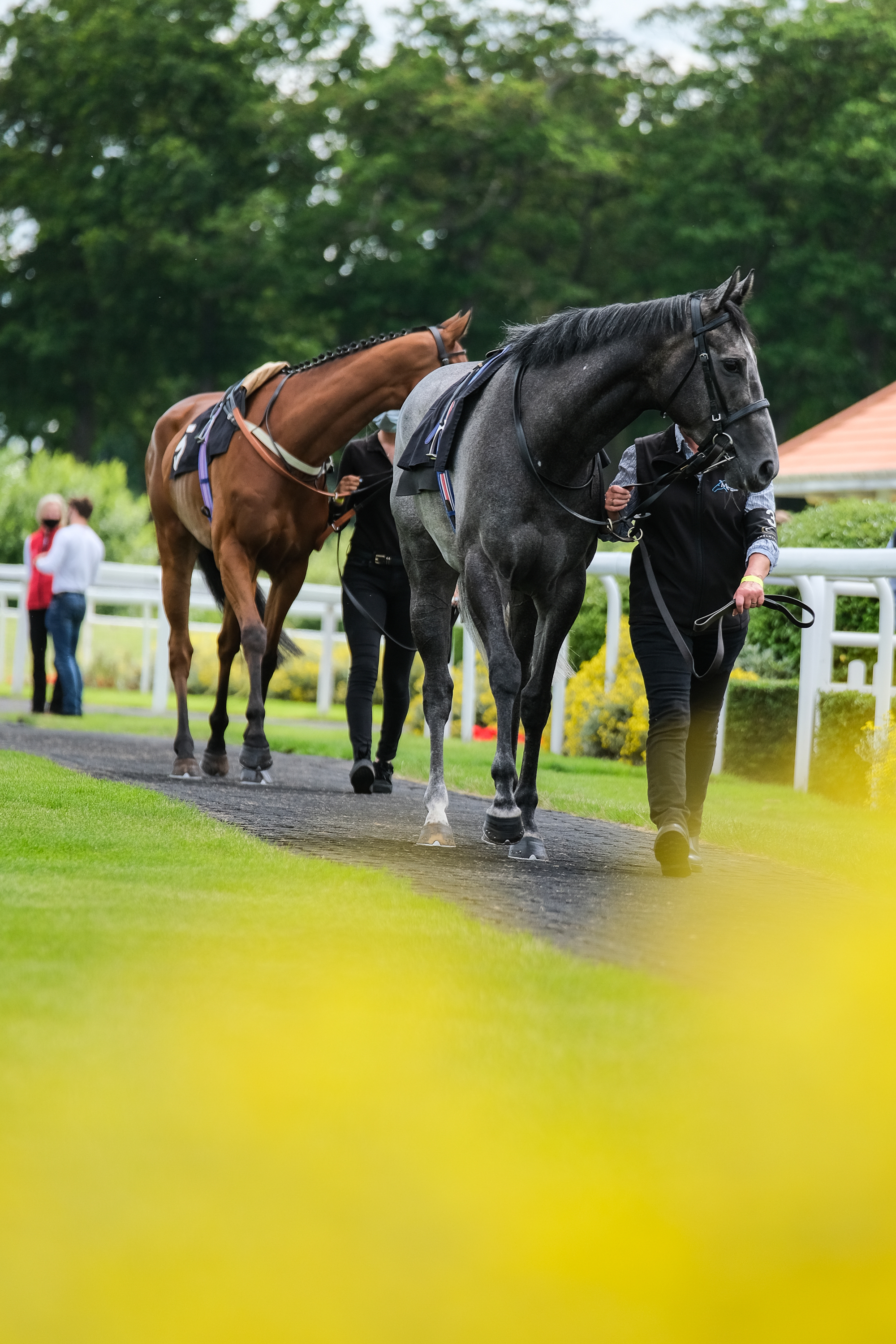 Chelmsford City Racecourse