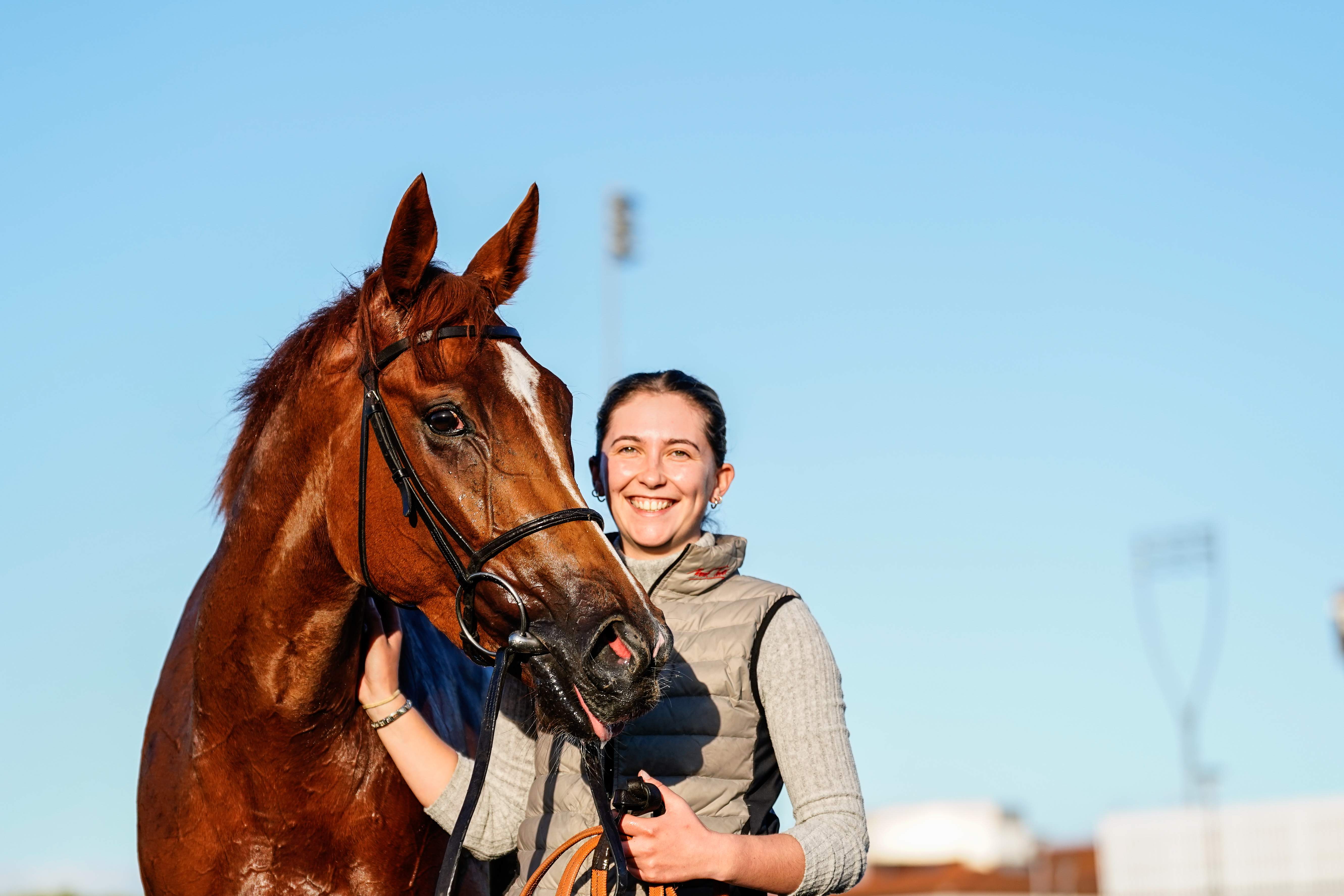 chelmsford city racecourse