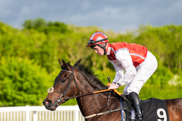 chelmsford city racecourse