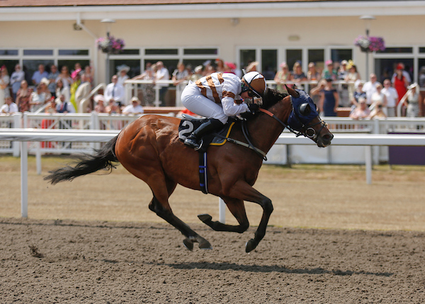 Chelmsford City Racecourse