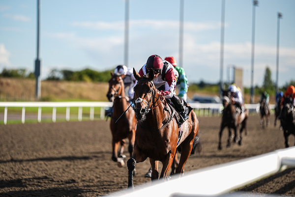 chelmsford city racecourse