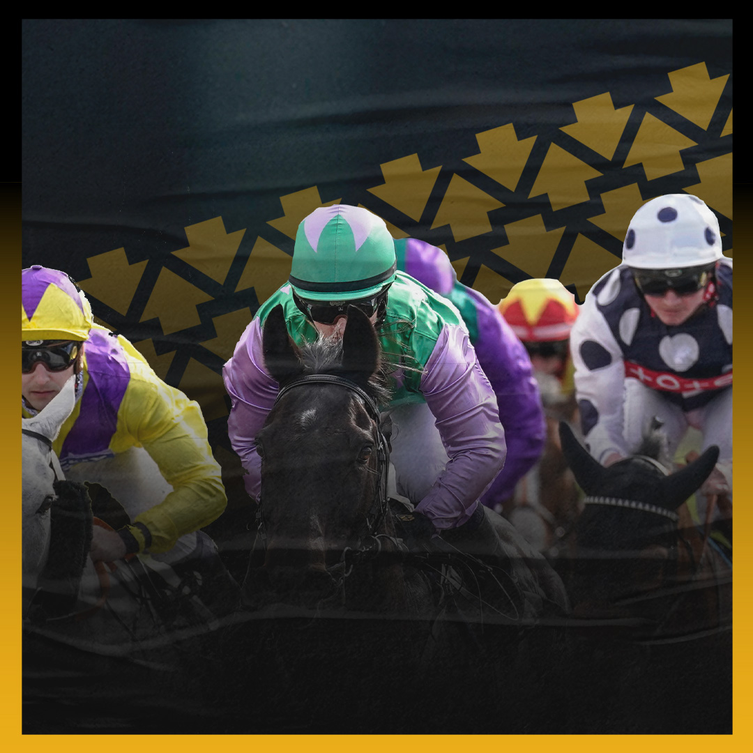 betfair | Chelmsford City Racecourse